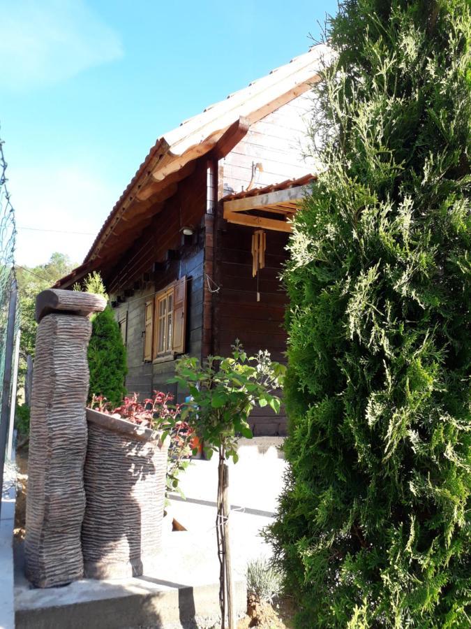 Stara Planina Stankovic Villa Crni Vrh Екстериор снимка